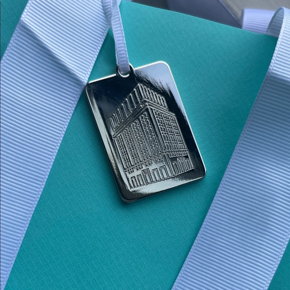 Tiffany & Co. Robin's Egg Blue Shopping Bag with White Handles - Picture 3 of 4